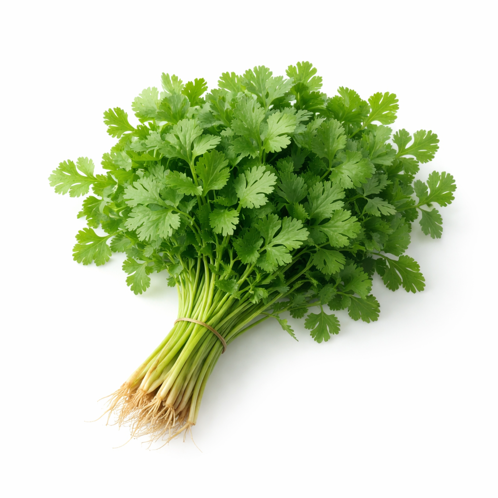 20260220_0250_Image Generation_simple_compose_01khvy2v6seaes462e1xjy87w1 Premium Mint Leaves (Pudina) – Fresh & Naturally Processed - Image 1