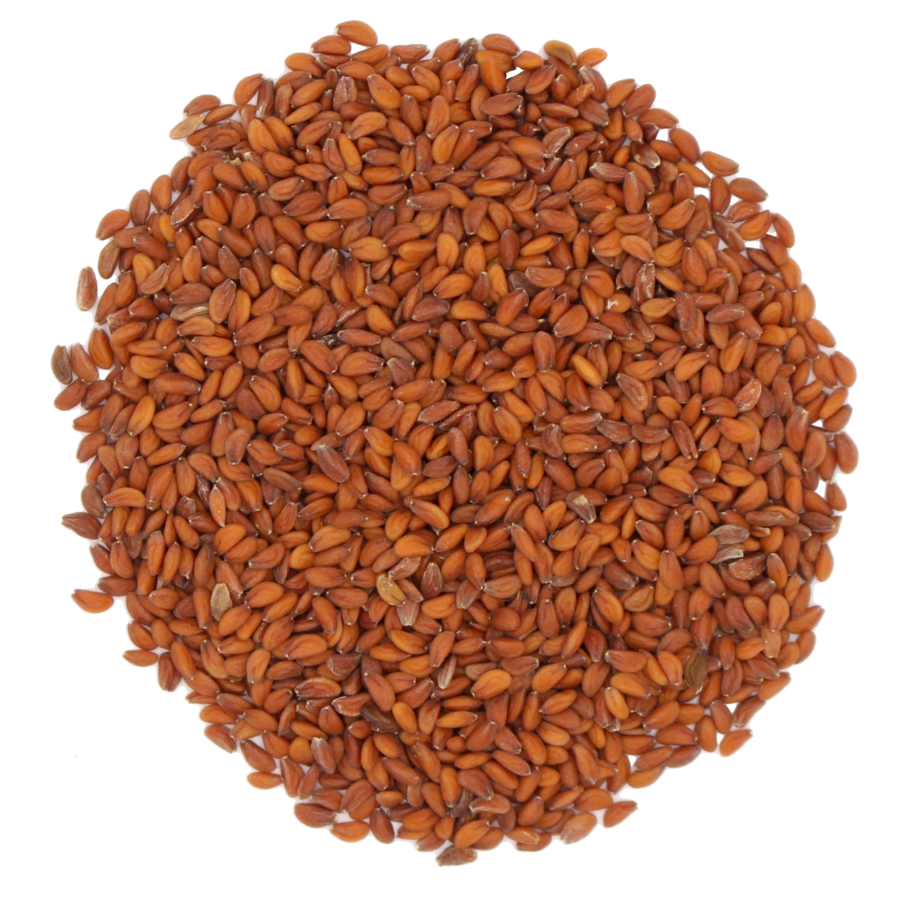 csm_Kresse_Saatgut_11bb25ad3a Premium Garden Cress Seeds (Halim Seeds) – Natural & Pure Quality - Image 1