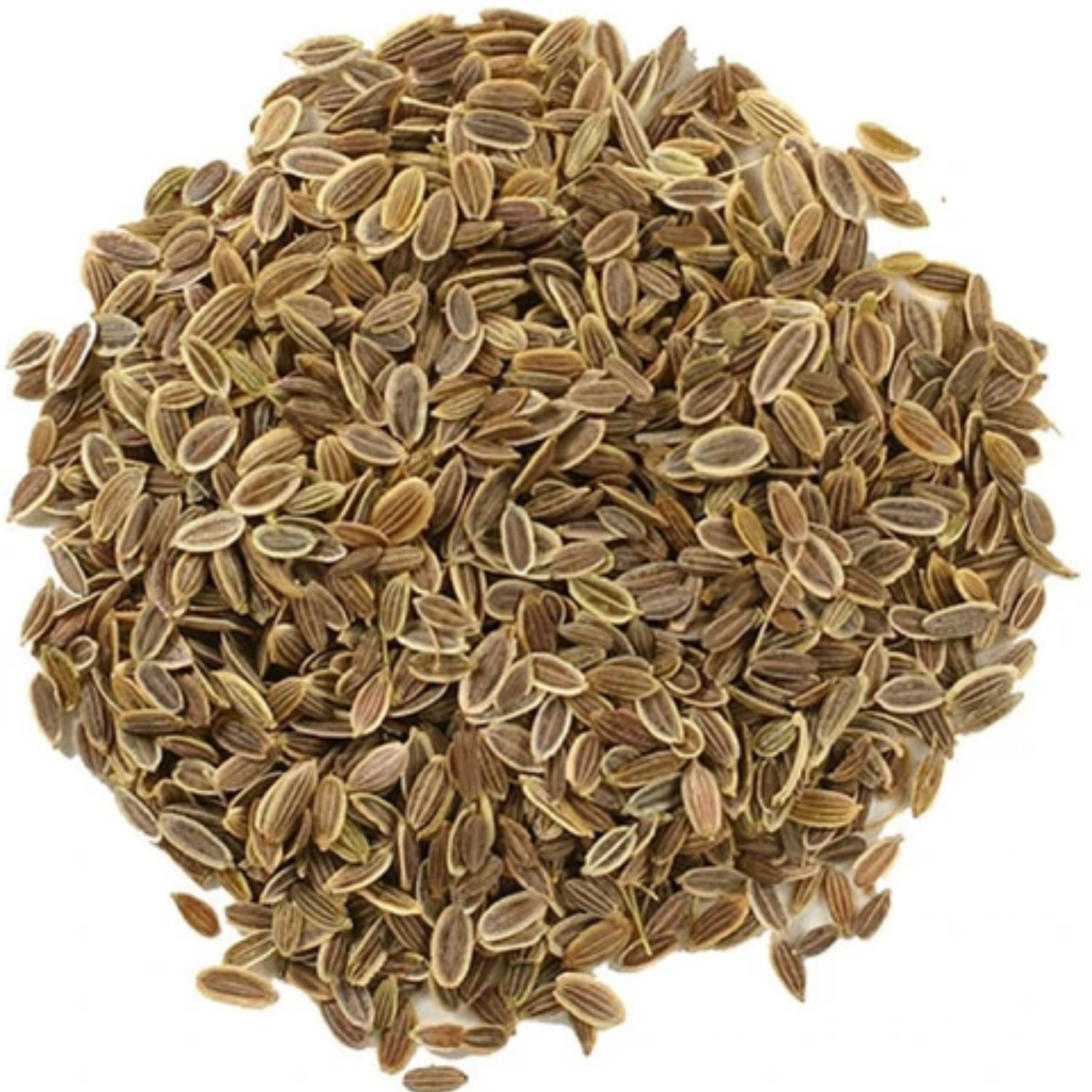 imresizer-15-dill-seeds-xla-83-dioart-original-imagbfhhwffyhh2s Premium Dill Seeds (Soya Seeds) – Strong Flavor & Export Standard - Image 1