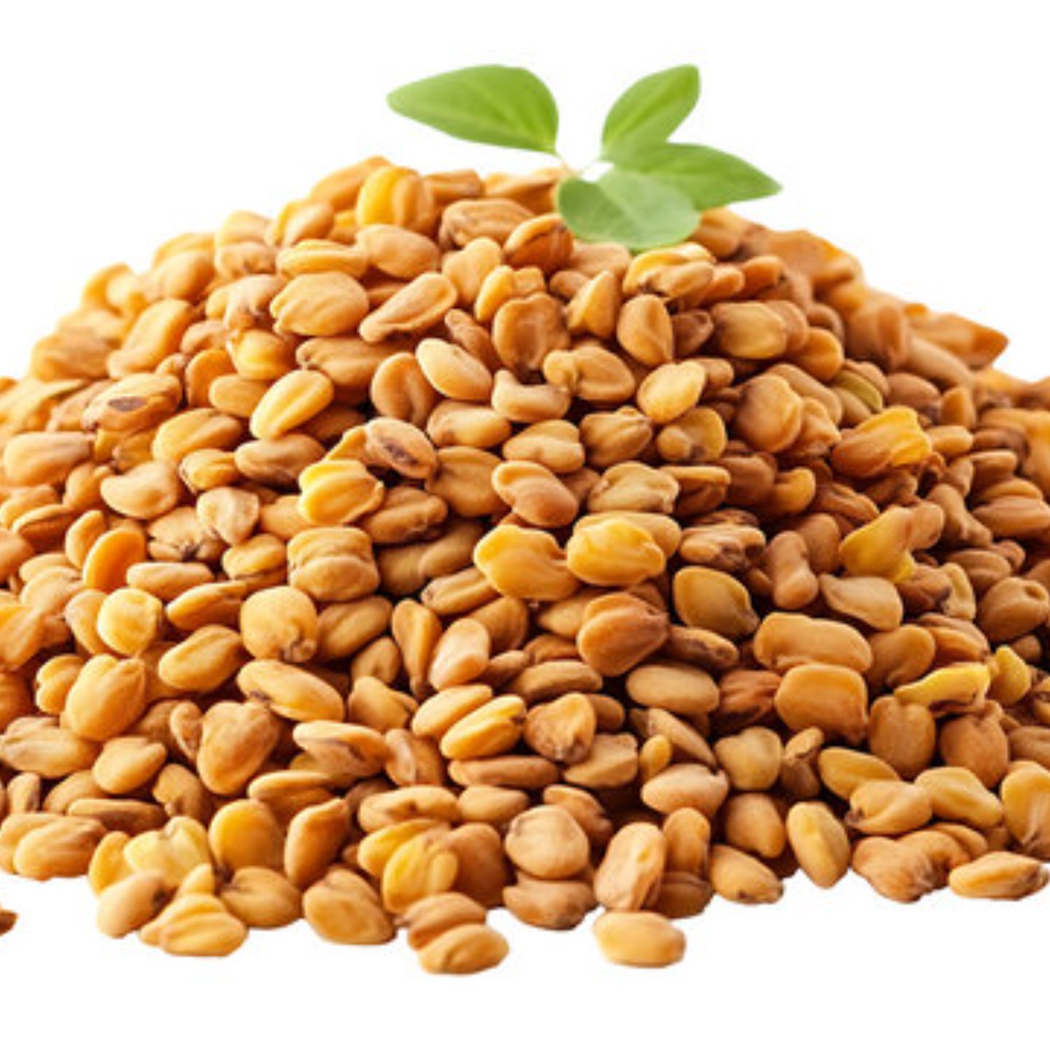 imresizer-360_F_1401179238_BPinx73IUS4XI9IR7JgtaCz3s6PNwr7K Premium Fenugreek Seeds (Methi Dana) – Natural Spice & Export Quality - Image 1