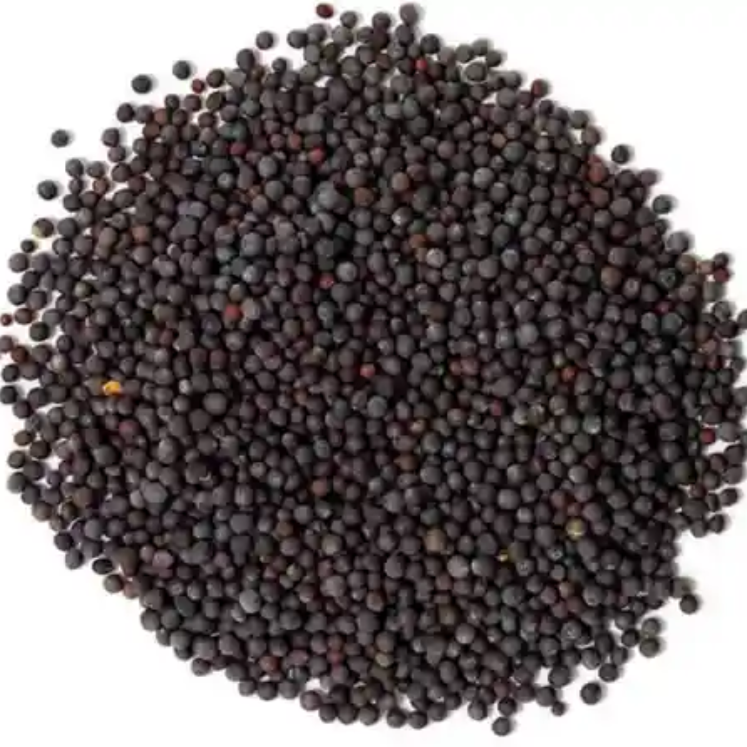 imresizer-500-n-brown-mustard-500gms-naturewell-original-imafp79fz6zg7tgt Premium Black Mustard Seeds (Kali Sarson) – Strong Aroma & Rich Flavor - Image 1