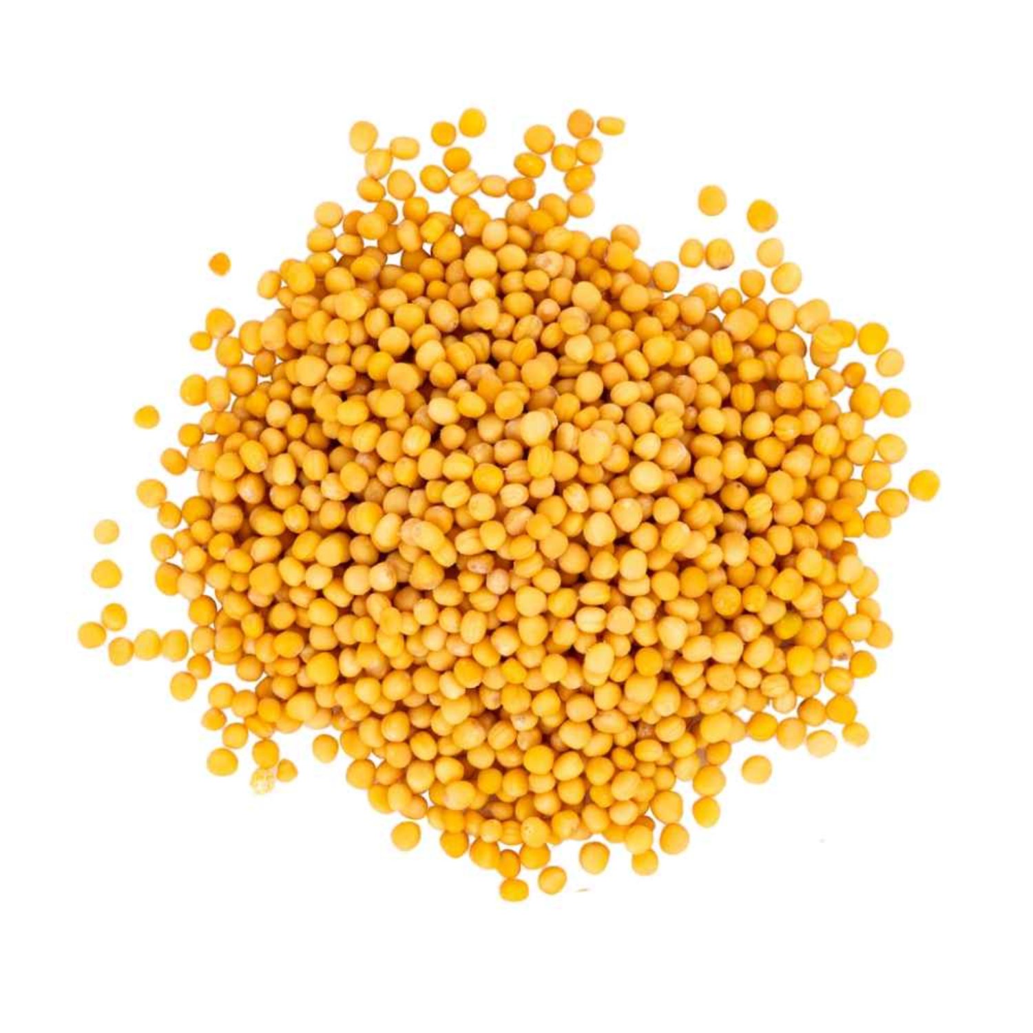 imresizer-7f52c057-0454-4162-9f80-b6c60af4c4e0 Premium Yellow Mustard Seeds (Peeli Sarson) – Mild Flavor Export Quality - Image 1
