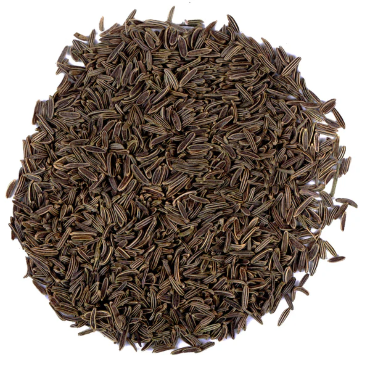 imresizer-BlackCuminSeeds_grande Premium Bitter Cumin (Kala Zeera) – Rare Spice Export Grade - Image 1