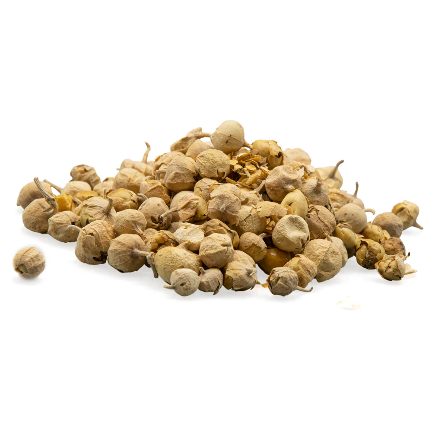 imresizer-Paneer-Dodi-1 (1) Premium Withania Coagulans (Paneer Doda) – Natural Herbal Export Quality - Image 1