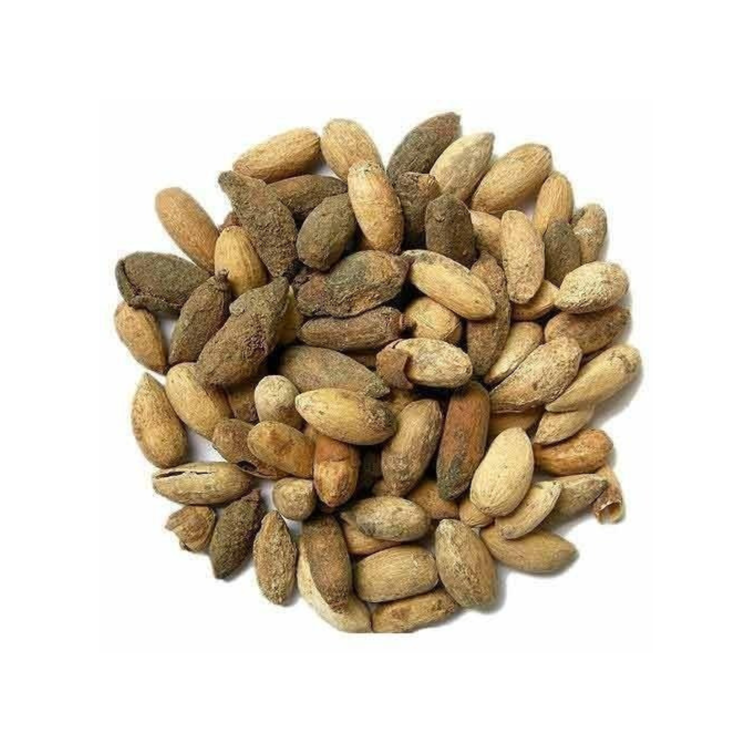 Untitled design (59) Premium Neem Seeds – Natural & Export Grade Quality - Image 1