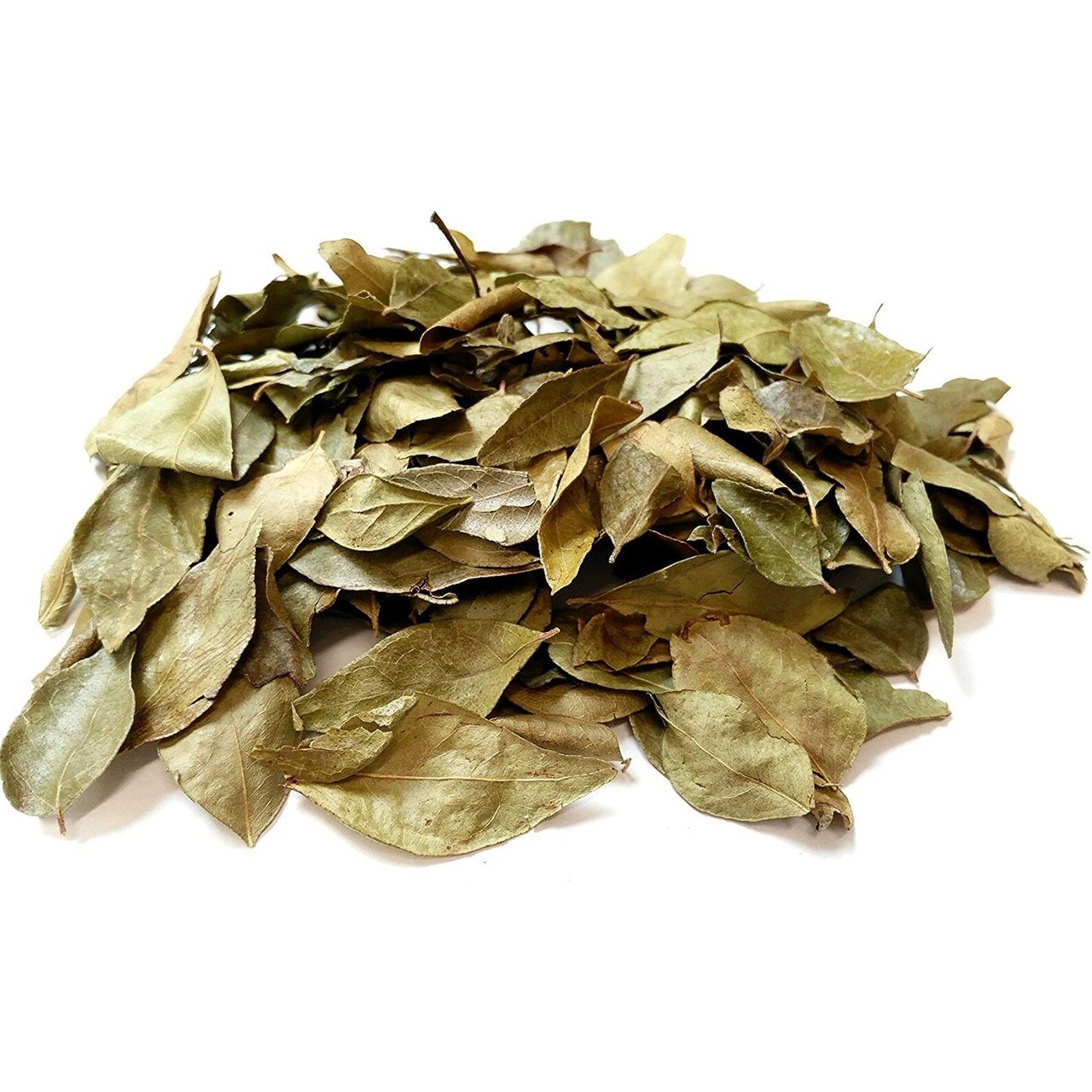 curry_leaves__96211.1697668628 Premium Curry Leaves – Fresh & Export Quality Herb - Image 1