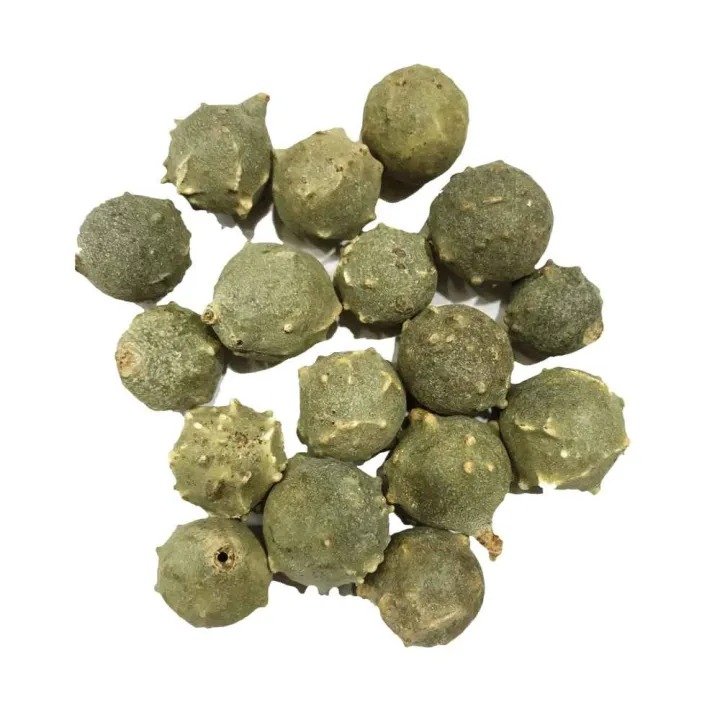 ea27b0dc85255ac9d17056b3d4352bc8 Premium Oak Galls (Majuphal) – Natural & Export Quality - Image 1