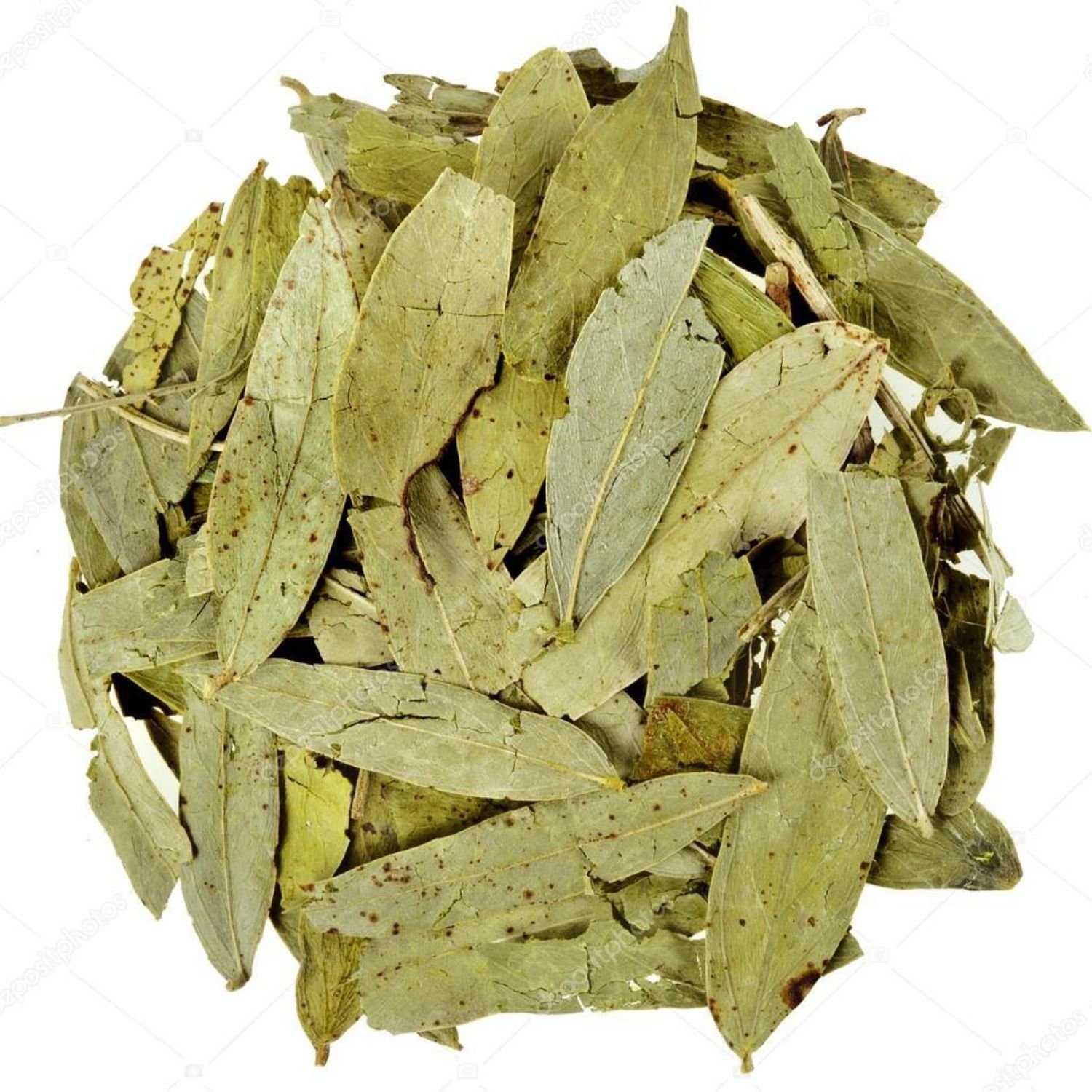 imresizer-curryleaves_dried Premium Curry Leaves – Fresh & Export Quality Herb - Image 1